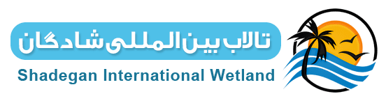 تالاب بین المللی شادگان